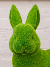 Load image into Gallery viewer, Bunny Rabbit Grass Sculpture
