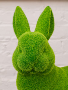 Bunny Rabbit Grass Sculpture