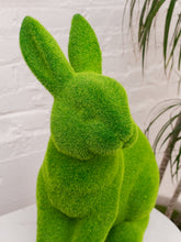 Load image into Gallery viewer, Bunny Rabbit Grass Sculpture
