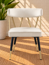 Load image into Gallery viewer, Morse dining chair in Pearl Cream velvet with matte black metal legs and gold frame and leg tip details
