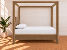 Load image into Gallery viewer, Image 3 of 4: Pineda Queen-Size Canopy Bed in Desert Mocha velvet with upholstered canopy frame and sculpted headboard

