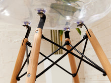 Load image into Gallery viewer, Acrylic Shell Chair
