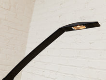 Load image into Gallery viewer, Vintage 1984 Italian Paf Mario Barbaglia and Marco Colombo Dove Lamp
