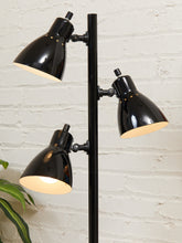Load image into Gallery viewer, Black Floor Lamp
