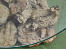 Load image into Gallery viewer, Petrified 1960s Brown Wood Coffee Table Glass Top
