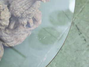 Petrified 1960s Brown Wood Coffee Table Glass Top