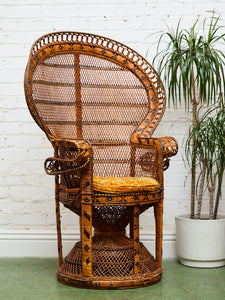 1970’s Peacock Chair