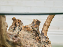 Load image into Gallery viewer, Burlwood Vintage Coffee Table
