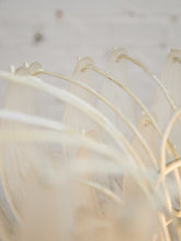 Load image into Gallery viewer, Chandelier Of Glass Feathers
