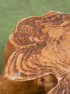Organic Live-Edge Teak Root Coffee Table Sculptural Natural Form