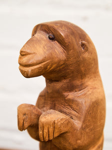 Carved Oddity Animal