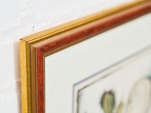 Load image into Gallery viewer, Graciela Rodo Boulanger Signed Lithograph Titled Les Oiseaux
