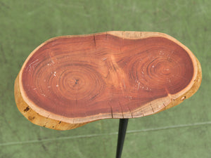 Live Edge Wood Slab Side Table with Hairpin Legs