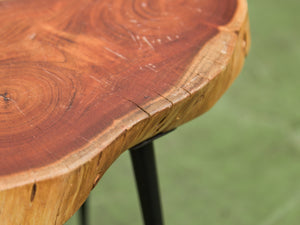 Live Edge Wood Slab Side Table with Hairpin Legs