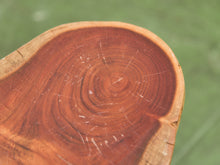 Load image into Gallery viewer, Live Edge Wood Slab Side Table with Hairpin Legs
