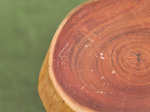 Live Edge Wood Slab Side Table with Hairpin Legs
