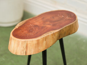 Live Edge Wood Slab Side Table with Hairpin Legs