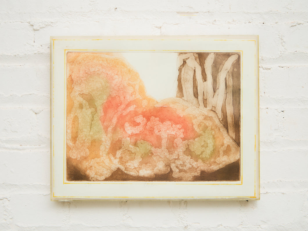 “Lichen” Etching by Ruth