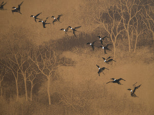 Flight Through Winter Silence