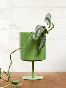Green Tulip Planter - Small