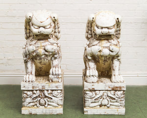 Pair of Monumental Carved Ox Bone Guardian Lions on Plinths