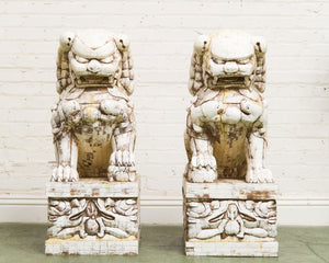 Pair of Monumental Carved Ox Bone Guardian Lions on Plinths