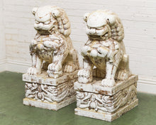 Load image into Gallery viewer, Pair of Monumental Carved Ox Bone Guardian Lions on Plinths
