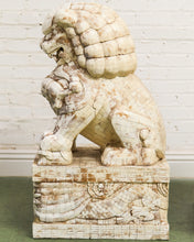 Load image into Gallery viewer, Pair of Monumental Carved Ox Bone Guardian Lions on Plinths
