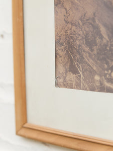 Sepia Desert Landscape with Native American Figure