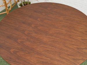 Madeline in Dark Walnut