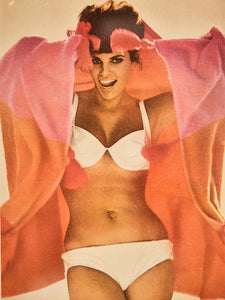 Raquel Welch 1966 Framed