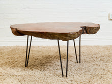 Load image into Gallery viewer, Organic Burl Slab Coffee Table with Hairpin Legs
