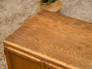 Teak 2 Door Cabinet