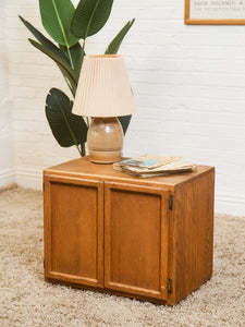 Teak 2 Door Cabinet