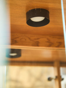 Gold and Wood Display Case