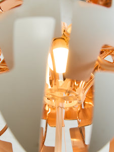 David Wahl Pendant Lamp