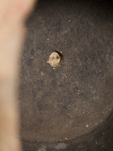 Load image into Gallery viewer, Manifattura di Signa Italian Vintage Planter
