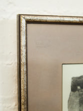 Load image into Gallery viewer, Mid Century Gray Falcon Lithograph Signed by Bryan Nelson
