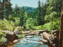 Load image into Gallery viewer, Mountain Stream Landscape Oil Painting in Ornate Frame
