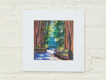Load image into Gallery viewer, John Muir Woods Print
