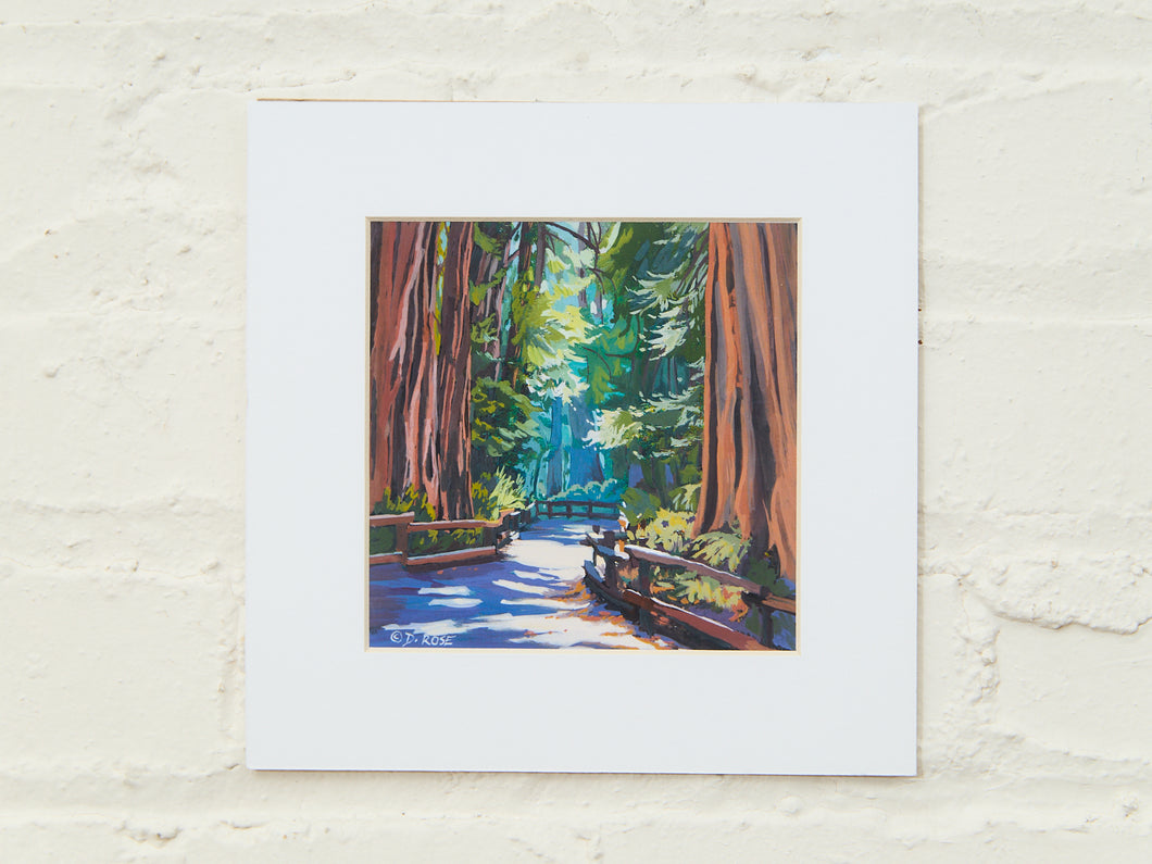 John Muir Woods Print