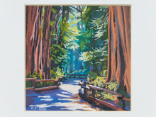 Load image into Gallery viewer, John Muir Woods Print
