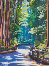 Load image into Gallery viewer, John Muir Woods Print
