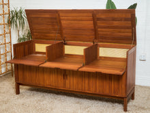 Load image into Gallery viewer, Danish Teak Record Cabinet
