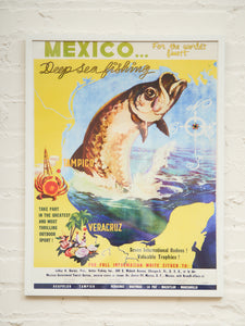 Mexico Veracruz Poster