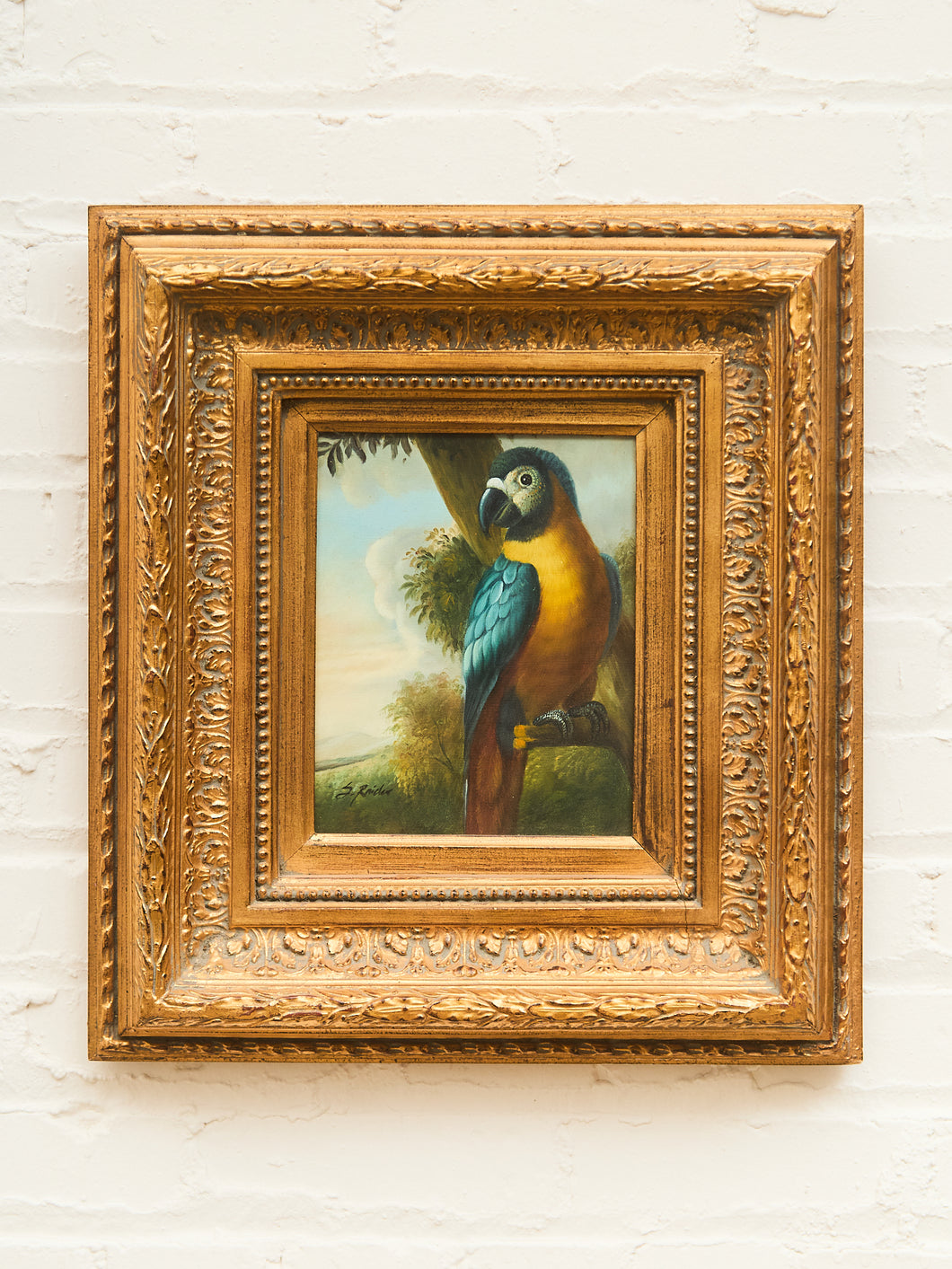 Antique Parrot Portrait Oil Painting Ornate Gilded Frame