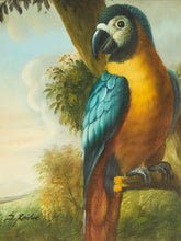 Load image into Gallery viewer, Antique Parrot Portrait Oil Painting Ornate Gilded Frame
