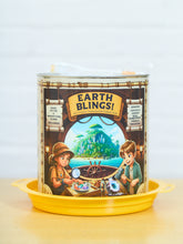 Load image into Gallery viewer, Earth Bling Crystal Discovery Buckets
