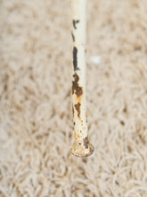 Load image into Gallery viewer, Mid-Century Wrought Iron Peacock Chairs Set
