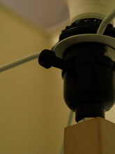 Load image into Gallery viewer, Brass Sleek Floor Lamp
